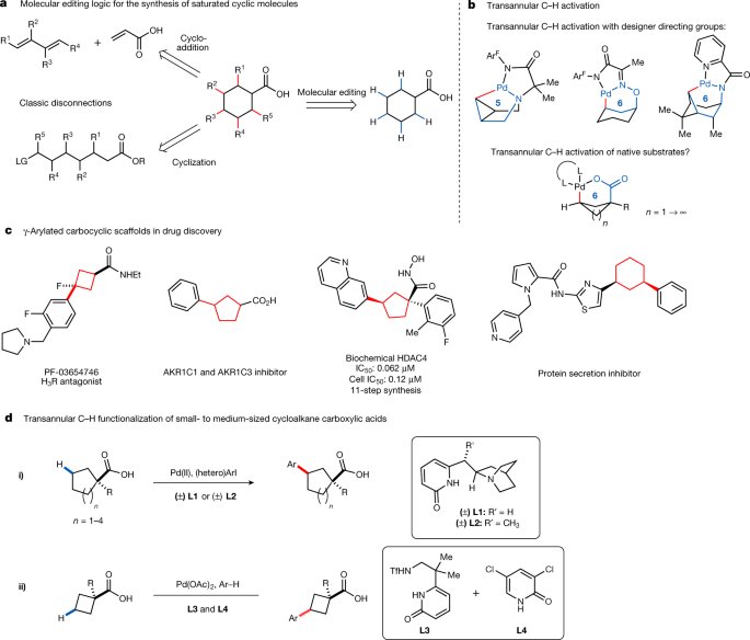 New method enables C-H activation across saturated carbocycles