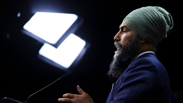 Singh says he won’t force an election until confidence in the electoral system is restored