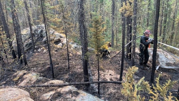 Wildfire forces residents of remote Alberta hamlet to evacuate by boat and plane