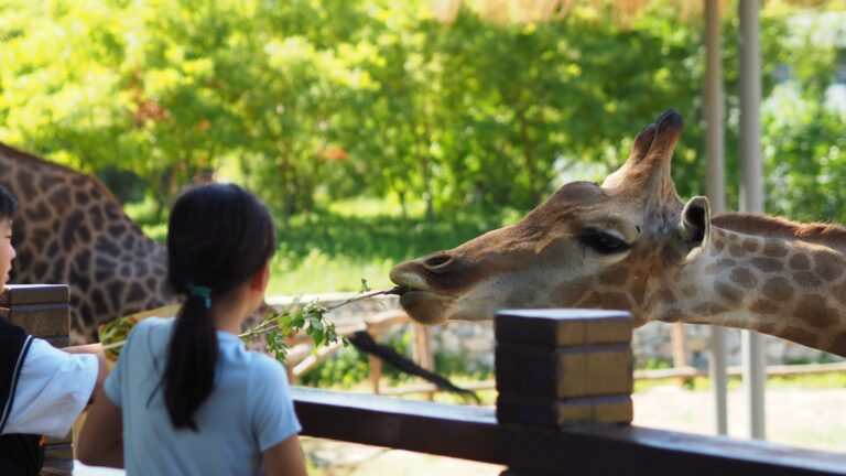 Silent zoo tours can generate new perspectives on animals, study suggests