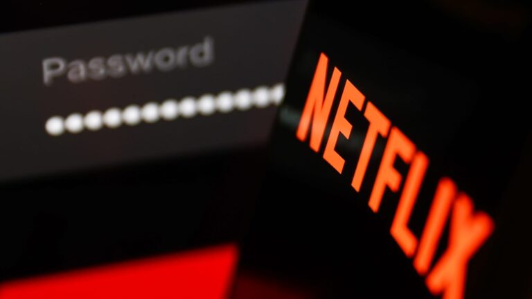 Netflix subscriptions rise amid password-sharing crackdown