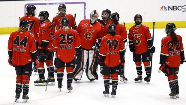 New pro women’s hockey league to launch in January after deal with Dodgers co-owner