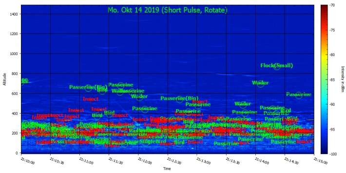 Migratory bats tracked for the first time ever using new algorithm