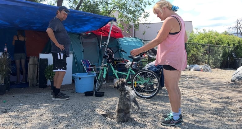 A woman in a pink vest and black shorts feeds a dog while a man looks on in front of tents.