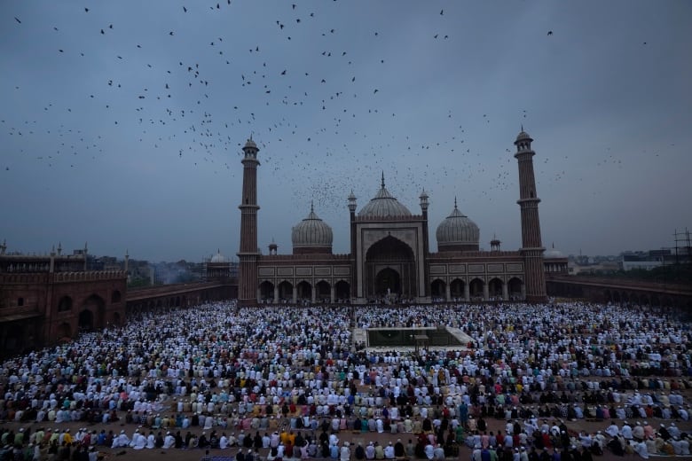 A flock of birds fly past hundreds of Muslims during Eid prayers at a mosque in India.