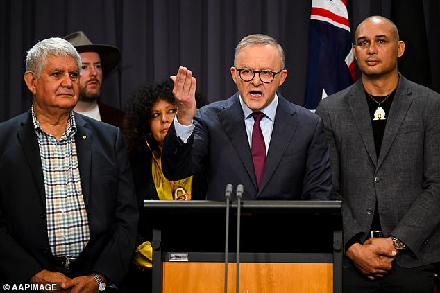 Prime Minister Anthony Albanese has assured the public this is a 'modest' request which will not impact the lives of most Australians, but make a world of difference to the nation's most vulnerable