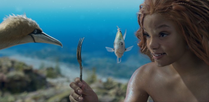 A smiling mermaid swims underwater with a seagull and a fish