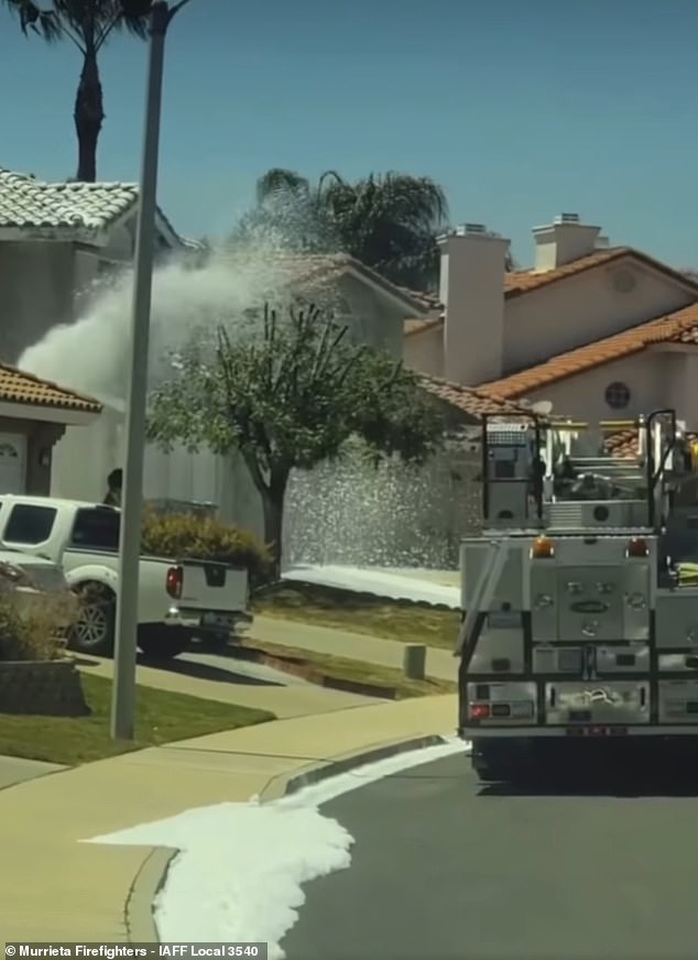 Murietta Firefighters arrive at the scene trying to exterminate the bees and their nests. Crews are scene trying to use foam and water