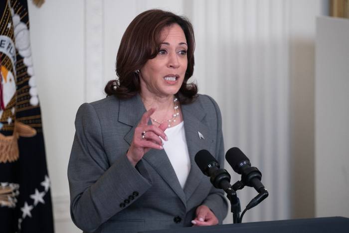 US Vice President Kamala Harris