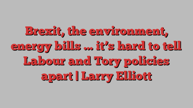 Brexit, the environment, energy bills … it’s hard to tell Labour and Tory policies apart | Larry Elliott