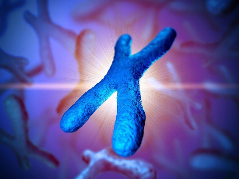 Gene-Silencing Complexes Join Forces To Inactivate X Chromosomes – Insight Into Female-Only Cancers