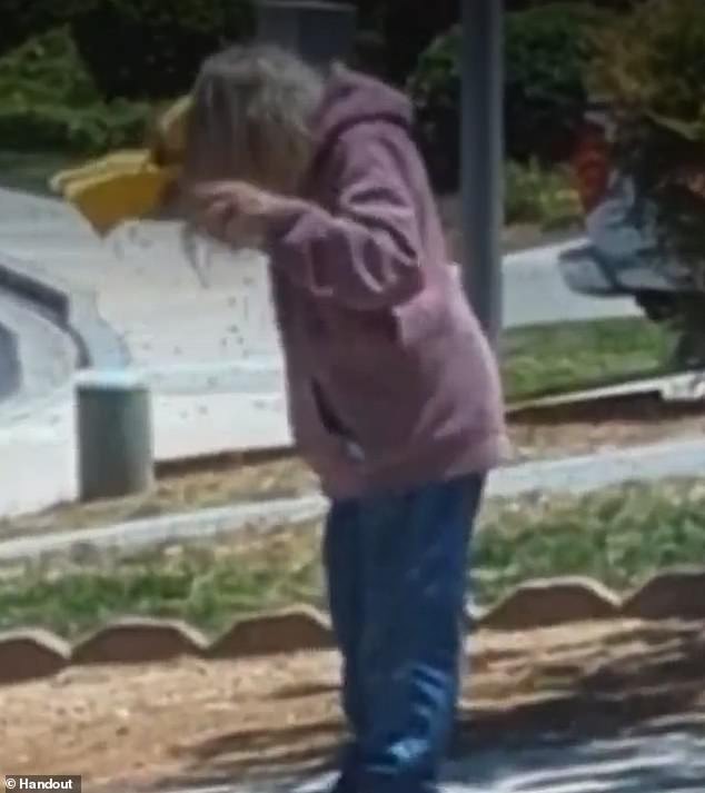 Elderly woman stung by HUNDREDS of bees outside her home before falling to the ground