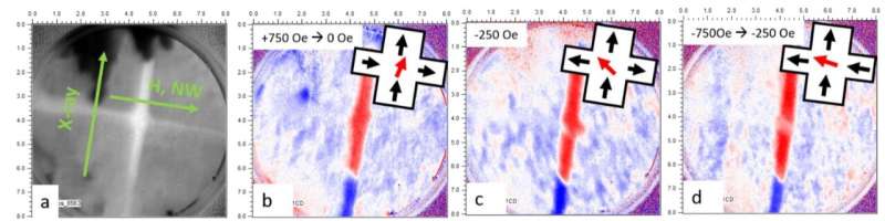 Spintronics at BESSY II: Domain walls in magnetic nanowires