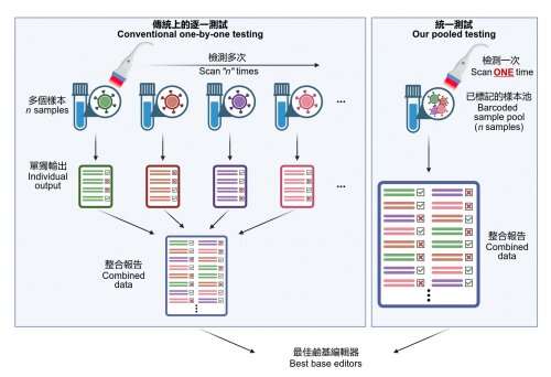 HKUMed establishes the first platform to slash time engineering and selecting the best precise genome editors for applications