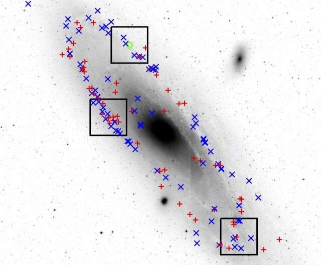 Nineteen new Wolf-Rayet stars discovered in the Andromeda galaxy