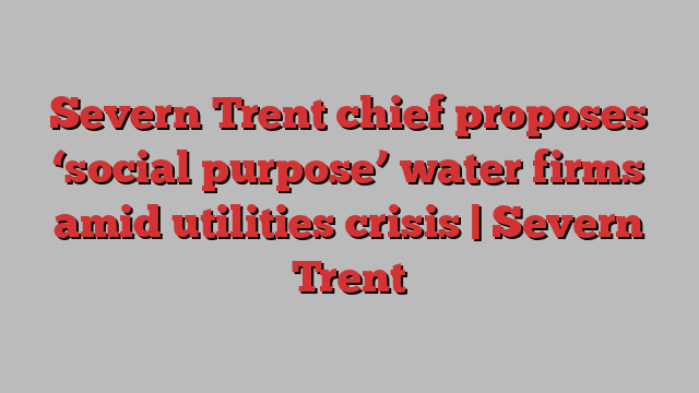 Severn Trent chief proposes ‘social purpose’ water firms amid utilities crisis | Severn Trent