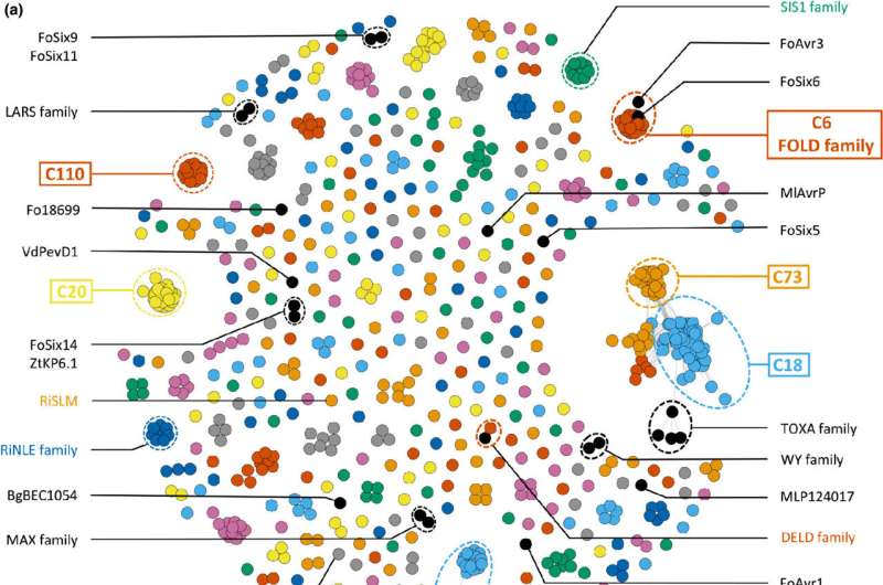 Symbiotic and pathogenic fungi may use similar molecular tools to manipulate plants