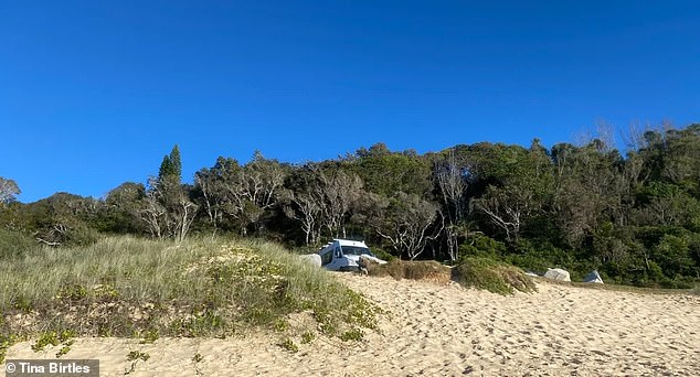 The-frantic-paw-prints-on-a-beautiful-Coffs-Harbour-beach.jpg