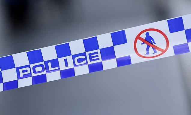 Whyalla Stuart: Teen boy charged with attempting to murder police officer