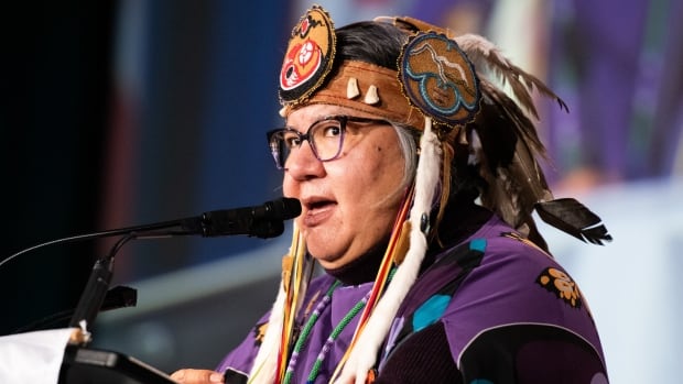 Fate of Assembly of First Nations financial probe uncertain after former national chief’s ousting