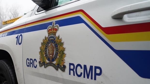 RCMP charges Ottawa man with terrorism offences in groundbreaking arrest