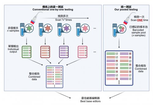 New platform slashes time to engineer and select the best genome editors for specific applications