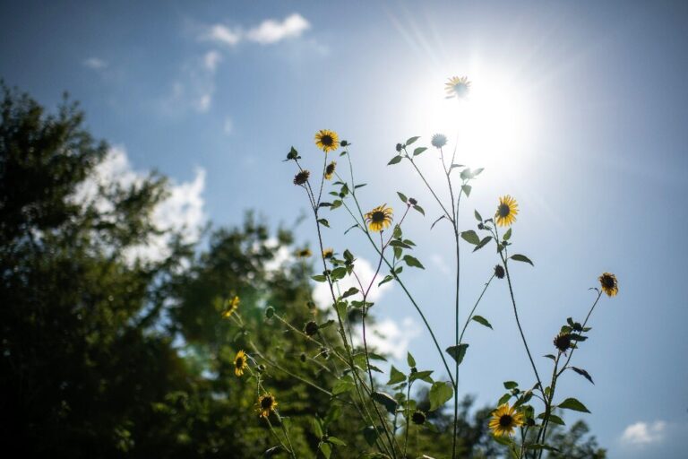 At least 13 die in extreme heat wave in US