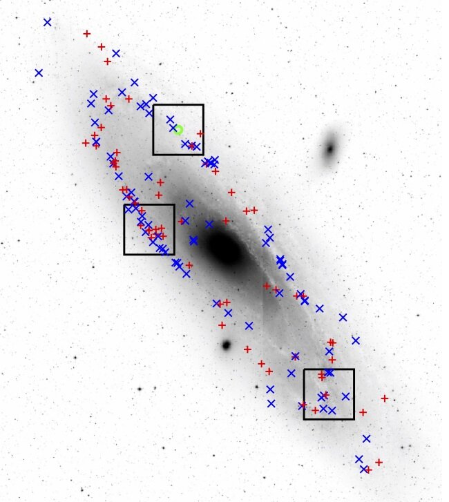 Nineteen new Wolf-Rayet stars discovered in the Andromeda galaxy