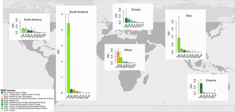 Study finds forest protection successfully leads to reduced emissions at global scale