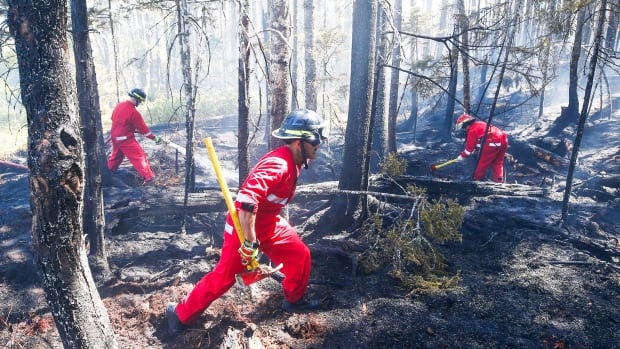 Multiple calls keep crews busy as Halifax-area wildfire continues to burn