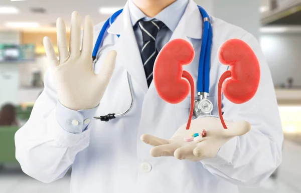 11 Most Common Foods That Damage Your Kidneys