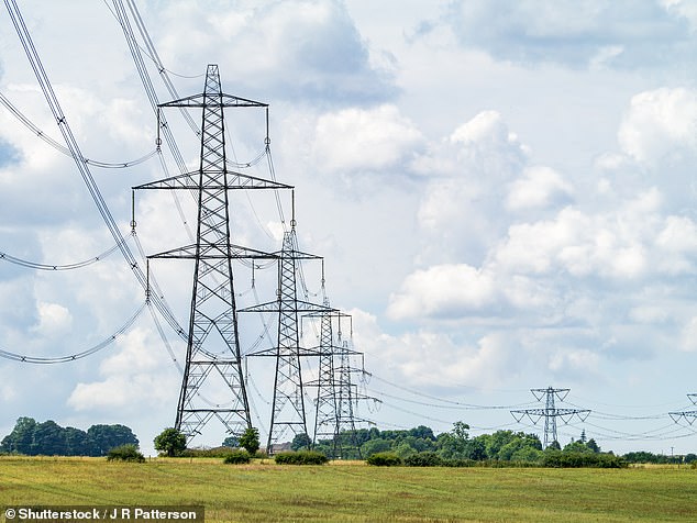 The planning reform plans submitted by National Grid - which are said to be supported by the DESNZ - would allow overhead cables and pylons to receive formal consent in half the time