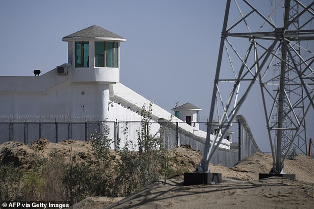 Human rights groups accuse Beijing of abuses against Uyghurs, a mainly Muslim ethnic minority that numbers around 10 million in the western region of Xinjiang (pictured, a  facility near what is believed to be a re-education camp where mostly Muslim ethnic minorities are detained in China's northwestern Xinjiang region)