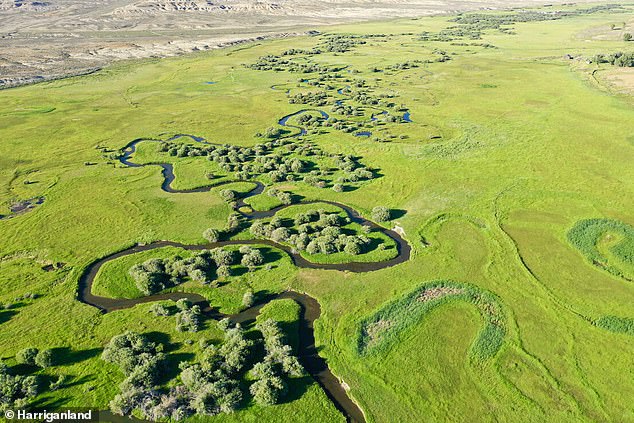 WYOMING: Harrower Ranch on Fontenelle Creek offers eight miles of trout water and productive hay meadows that support a cattle operation of 600 cows