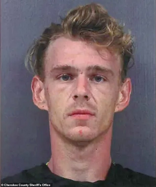 Police have since made a single arrest following the grim find - charging 25-year-old Eric Shawn Fetzer with destruction, desecration or removal of human remains