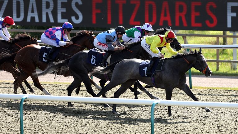 Skallywag Bay in winning action at Lingfield on the All-Weather