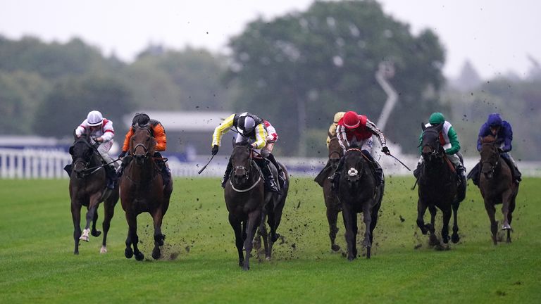 Lethal Nymph (black and yellow) lands a valuable handicap prize at Ascot