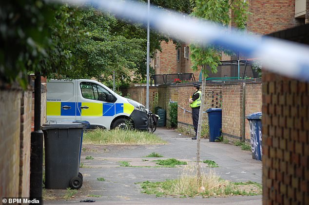 The young children were rescued from the blaze but both later died in hospital