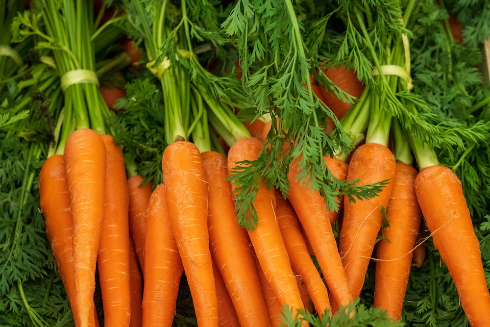 A pile of carrots with green tops and leaves