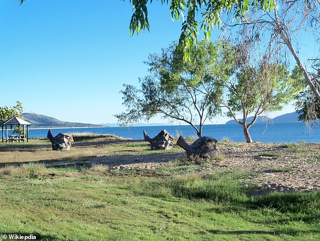 The remains of the big fish were found last weekend at Rowes Bay (pictured) in Townsville, north of the town's popular Strand area