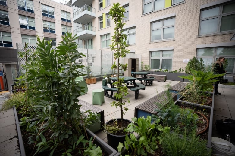 The rooftop garden at a recovery centre in Vancouver.