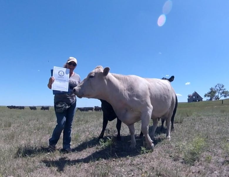 A smiling woman stands in a field next to a white cow while holding up a certificate with the Guinness World Records logo.