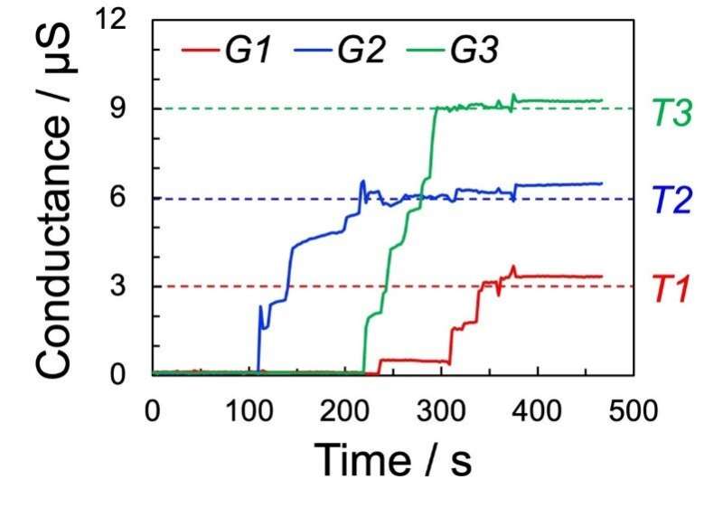 Growing bio-inspired polymer brains for artificial neural networks