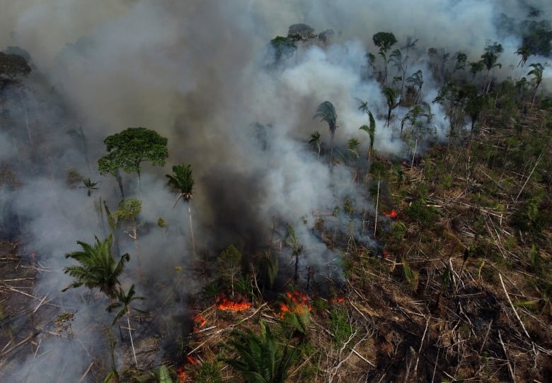 Smoke rises from a forest fire in the Transamazonica highway region, in the municipality of Labrea, Amazonas state, Brazil, Sept. 17, 2022.