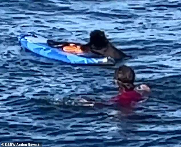 The one-minute video starts by showing the otter latching onto the board and beginning to tug it away deeper into the ocean