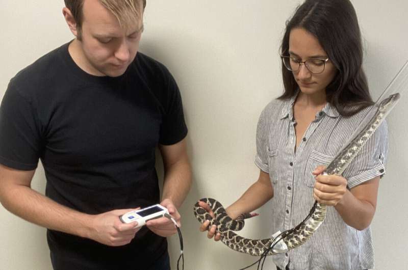 Stressed rattlesnakes found to calm down in the company of a nearby 'friend'