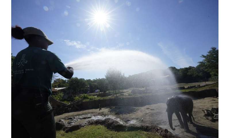 Tuesday set an unofficial record for the hottest day on Earth. Wednesday may break it.