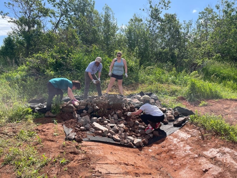 Four people stand around a pile of rocks putting them in place to make a new wetland. 