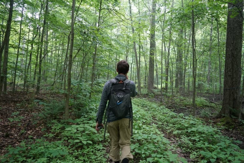 A man walking through a forest.