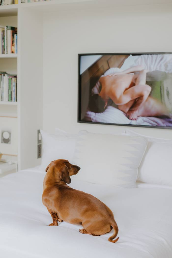 Ric and Randy Embracing by Nan Goldin and Van Duysen’s dachshund Pablo